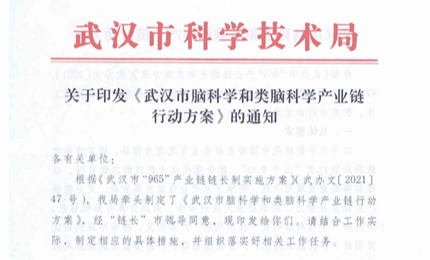 热烈祝贺依瑞德集团入选“武汉市脑科学和类脑科学产业重点企业”名单